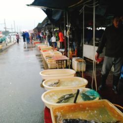 無錫小溪橋水產(chǎn)批發(fā)市場 地址、電話、營業(yè)時(shí)間與美食探尋指南